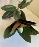 LEA0046S Magnolia Leaves (Branch) 88cm 2 branches $22
