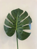 LEA0052 SmallMonstera Single Leaf RT 80cm (36x30cm) $8each