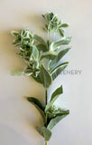 66cm - LEA0053 Artificial Variegated Seeded Greenery Spray 47-66cm | ARTISTIC GREENERY NOR Artificial Plant Supplier