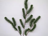 LEA0058 Pine Leaves (Branch) 83cm Green
