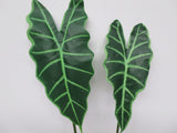 LEA0060 Alocasia Single Leaf 2 Sizes Green