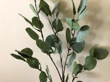 LEA0066 Silver Dollar Eucalyptus Spray 90cm