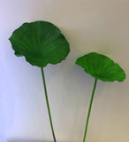 LEA0073 Lotus / Water Lily Single Leaf( Real Touch Quality) 3 Sizes