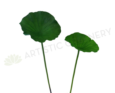 LEA0073 Lotus / Water Lily Single Leaf( Real Touch Quality) 2 Sizes