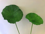 LEA0073 Lotus / Water Lily Single Leaf( Real Touch Quality) 3 Sizes