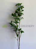 LEA0101 Artificial Pieris Foliage 107cm | ARTISTIC GREENERY