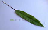 LEA0102 Ti Single Leaf (Real Touch) 89cm | ARTISTIC GREENERY