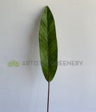 LEA0102 Ti Single Leaf (Real Touch) 89cm | ARTISTIC GREENERY