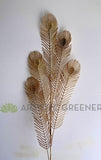 LEA0121 Decorative Gold Peacock Feather 98cm | ARTISTIC GREENERY