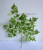 LEA0125 Scared Bamboo Foliage 66cm | ARTISTIC GREENERY