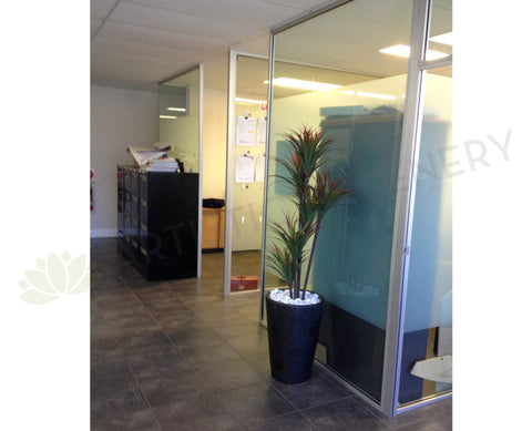 Losugen - Artificial Trees in Pots Throughout the Office