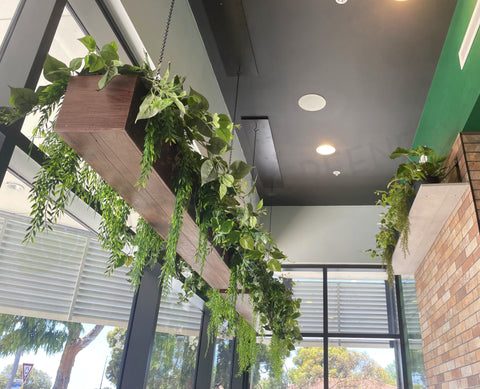 MK Pizza Coolbellup  - Hanging Greenery for Built-in Planters and Shelf | ARTISTIC GREENERY Commerical Fitout with Artificial Plants WA