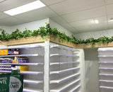 Optimal Pharmacy (Altone) - Hanging Artificial Greenery | ARTISTIC GREENERY