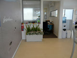 Peet Land Sales Office - Artificial Plants for Office