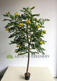 CT002 Custom-made Artificial Pagoda Tree 180cm | ARTISTIC GREENERY