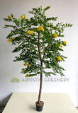 CT002 Custom-made Artificial Pagoda Tree 180cm | ARTISTIC GREENERY