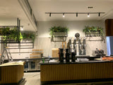 Port City Roasters (South Fremantle) - Artificial Plants for Display Shelves & Hanging Baskets with Plants