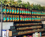 Port City Roasters (South Fremantle) - Artificial Plants for Display Shelves & Hanging Baskets with Plants