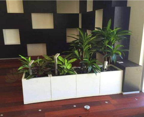 Premium Lighting Retail Shop - Artificial Plants for Shop Decoration