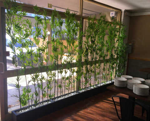 Ramen Ichiraku Northbridge - Bamboos for Front Window & Artificial Plants