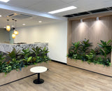 Ramsay Health Care (Mount Pleasant) - Artificial Plants for Reception & throughout the Clinic | ARTISTIC GREENERY