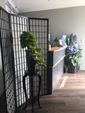 Home Salon Reception (Fremantle) - Custom-made Bonsai | ARTISTIC GREENERY