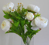 SP0013 Peony Bunch 55cm 6 Colours