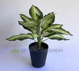 SP0024XS Artificial Gold Dieffenbachia Dumb Cane Leopad Lily Plant 39cm | ARTISTIC GREENERY