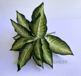 SP0024XS Artificial Gold Dieffenbachia Dumb Cane Leopad Lily Plant 39cm | ARTISTIC GREENERY