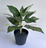 SP0025XS Artificial Dieffenbachia Dumb Cane Leopad Lily Plant 40cm | ARTISTIC GREENERY