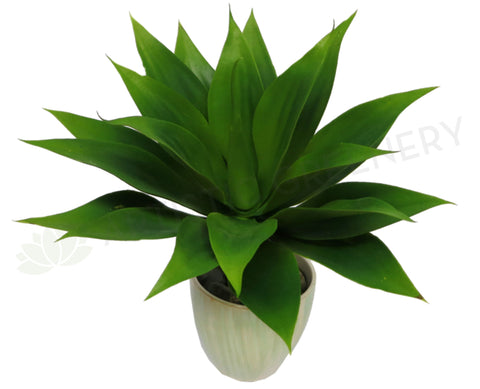 SP0036 Artificial Agave Attenuata