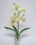 SP0045 Cymbidium Orchid Stem with Leaves 42cm 4 Colours