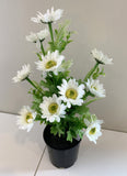 WHITE - SP0079NEW Gerbera Daisy Bunch 41cm 5 Colours - CLEARANCE