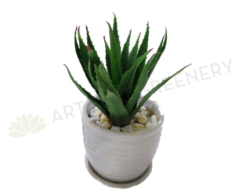 SP0089 Small Aloe Vera 19cm Green
