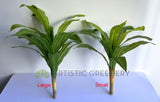 SP0124 Faux Dracena Fragrans 80cm / 88cm 2 Sizes (Evergreen Plant) | ARTISTIC GREENERY