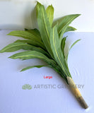 SP0124 Faux Dracena Fragrans 80cm / 88cm 2 Sizes (Evergreen Plant) | ARTISTIC GREENERY