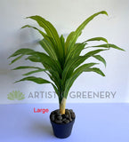 SP0124 Faux Dracena Fragrans 80cm / 88cm 2 Sizes (Evergreen Plant) | ARTISTIC GREENERY