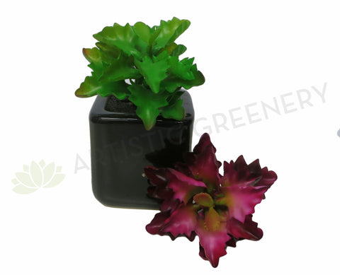 SP0127 Small Succulent Real Touch 12cm Green / Red