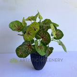 Small - SP0133 Imitation Variegated Begonia / Merry-Go-Around Bunch 2 Sizes | ARTISTIC GREENERY