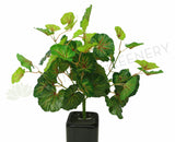 Large - SP0133 Imitation Variegated Begonia / Merry-Go-Around Bunch 2 Sizes | ARTISTIC GREENERY