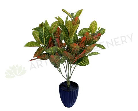 SP0134 Nerve Plant / Fittonia 30cm Orange | ARTISTIC GREENERY