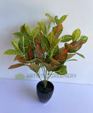 SP0134 Nerve Plant / Fittonia 30cm Orange | ARTISTIC GREENERY