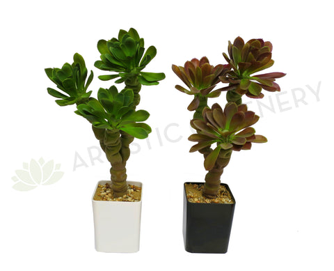 SP0150 Succulent Potted Plant