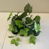 SP0154L Large: 38cm tall (more foliage) $12 per bunch