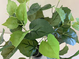 SP0154L Large: 38cm tall (more foliage) $12 per bunch