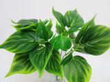 SP0155 Pothos Plant 32cm Glossy Leaves