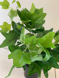 LARGE - SP0160 Ivy Bunch 32cm Glossy Leaves 