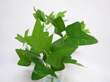 SP0160 Ivy Bunch 32cm Glossy Leaves (SMALL)