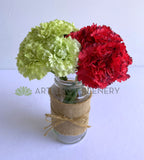 SP0164 Silk Carnation Bunch 22cm (Available in 9 Styles) | ARTISTIC GREENERY 