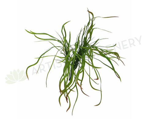 SP0166 Weeping Greenery 50cm